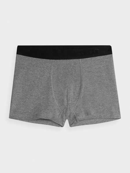 Труси 4F BOXER SHORTS M027 (2PACK) 4FAW23UBXSM027-90M р.L сірий