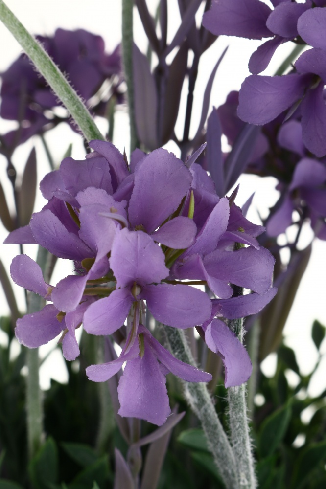 Рослина штучна Гортензія в горщику 28x39 см фіолетова