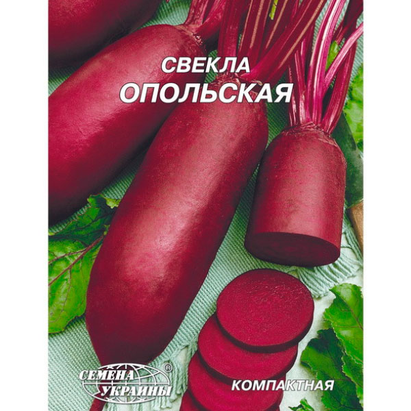 Насіння Семена Украины буряк Опольський 20г