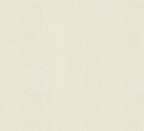 Штора затемняющая VELUX на крючках 78 см RHZ MK00 4219 беж