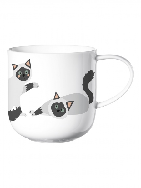 Чашка Бирма 400 мл 19442014 ASA