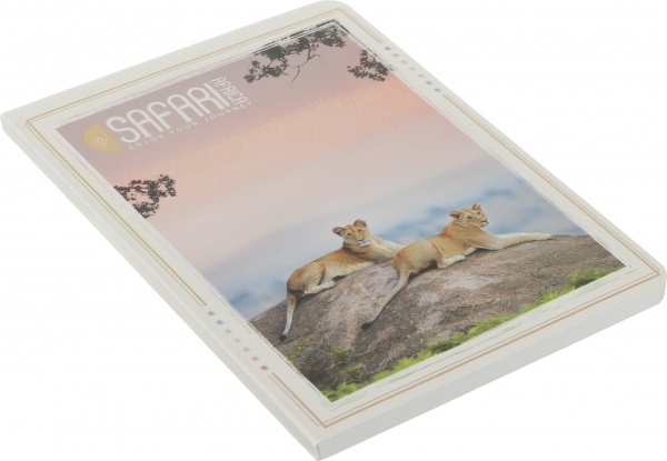 Книга для записей 80 листов А5