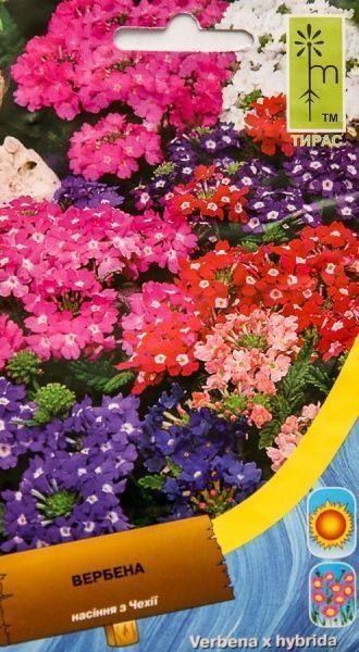 Семена MoravoSeeds вербена гибридная гибридная 0,3 г
