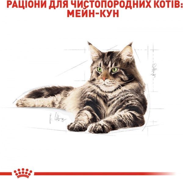 Корм Royal Canin Maine Coon Adult 4 кг