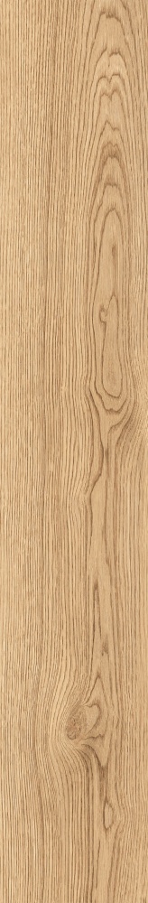 Плитка Allore Group Armario Honey F PR R Mat 19,8x120 см