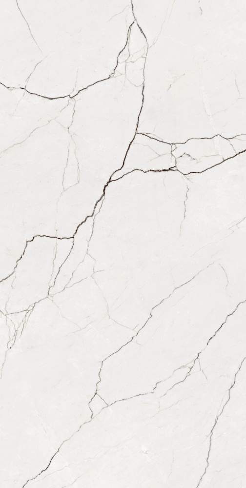 Плитка Allore Group Eleganza White F P R Full Lappato 60х120 см