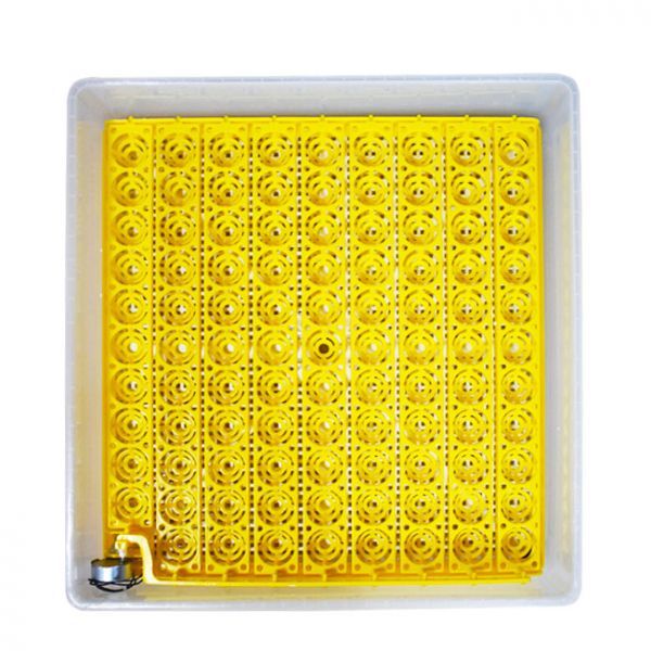 Інкубатор автоматичний MS-98