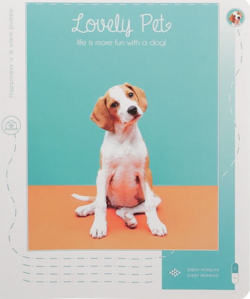 Тетрадь школьная Tadward 12 листов клетка