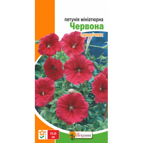 Насіння Яскрава петунія мініатюрна Червона
