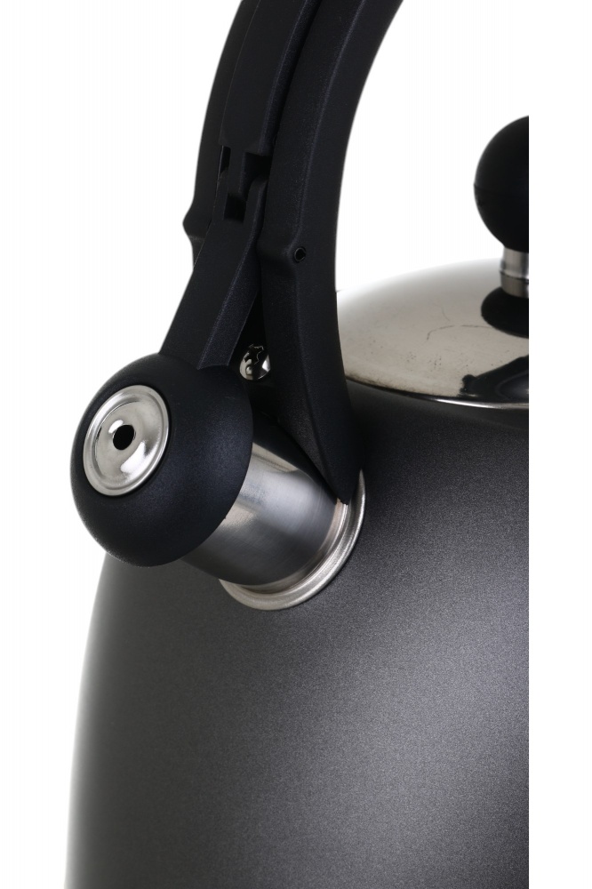 Чайник Flamberg зі свистком Graphite сірий 3 л