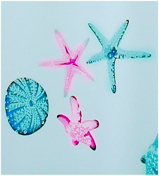 Шторка для ванной BACCHETTA STELLA