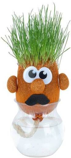 Игровой набор ORB Sprouti Palz: «Веселые приятели» ORB40821 в ассортименте 