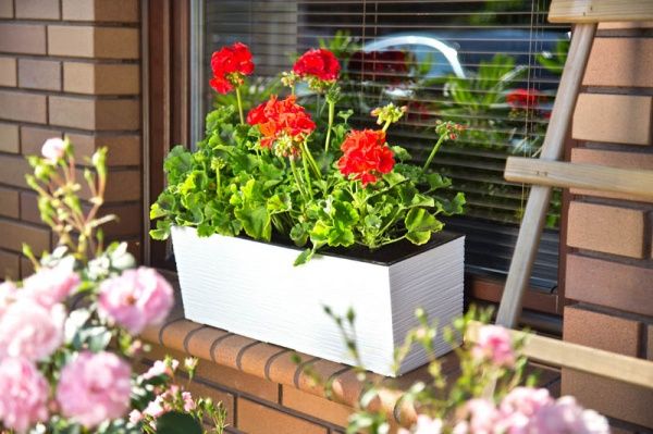 Горщик для квітів Lamela Бегонія долото прямокутний 37,7л білий 