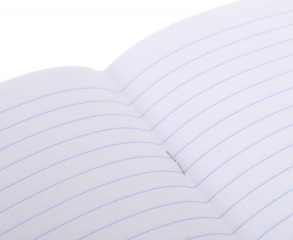 Тетрадь школьная 18 листов в линию Nota Bene