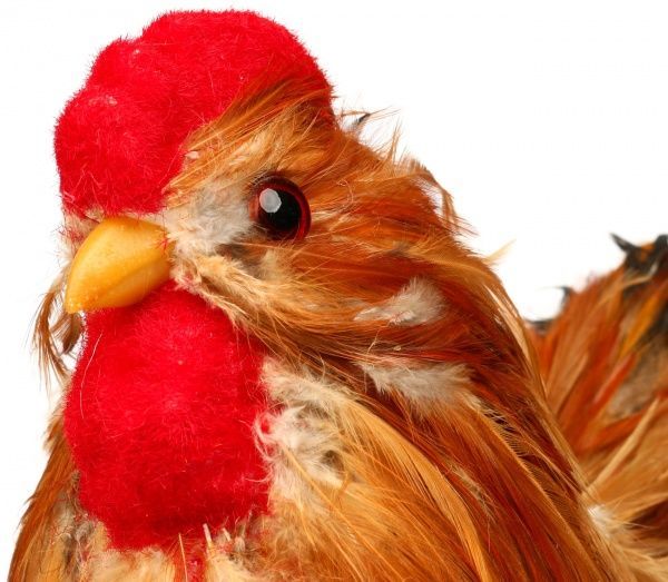 Декорация пасхальная Blooming Петушок LD190310-22