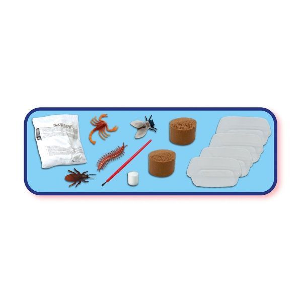 Набір дослідника SES Скам'янілості комах, що світяться 25073S