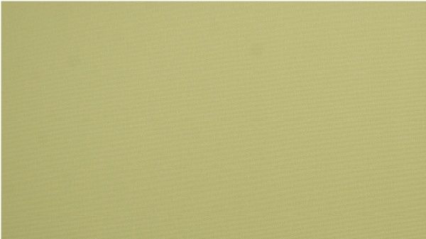 Ролета термо (blackout) Gardinia 68x215 см яблучний 