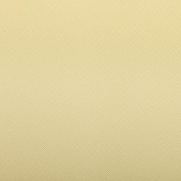 Шпалери зі спіненого вінілу Amber BellaVita 369517 0,53x10,05 м 