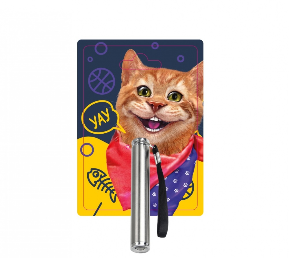 Игрушка DGT-PETS Лазерная указка-фонарик серебряный (FG221228007G)