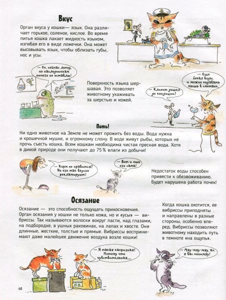 Книга «Книга Кішки.Про що говорять тварини.»