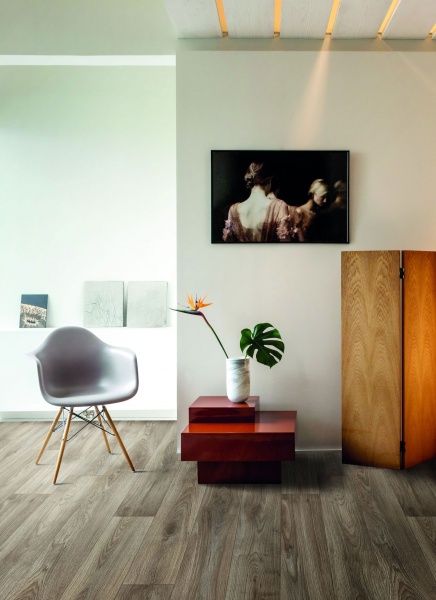 Лінолеум Dynasty Dynasty Pin Oak 669D Beauflor 4 м 