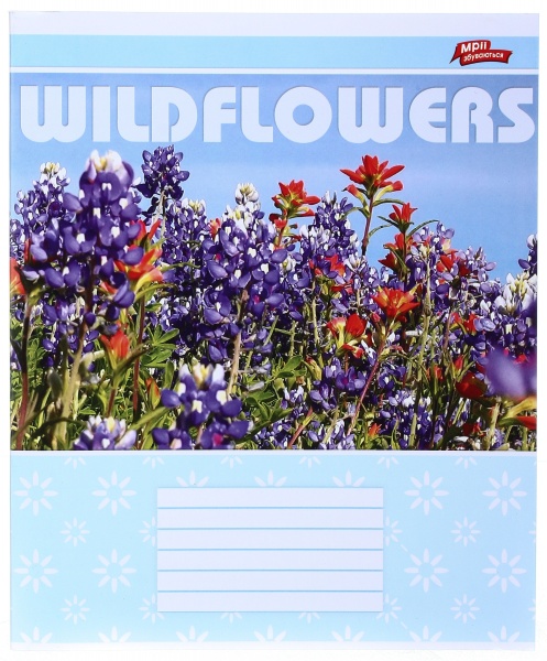 Тетрадь школьная 18 листов в клеточку в ассортименте Мечты сбываются