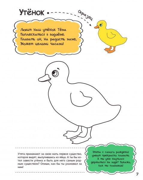 Раскраска Анна Алешичева «У бабушки в деревне» 978-617-690-812-8