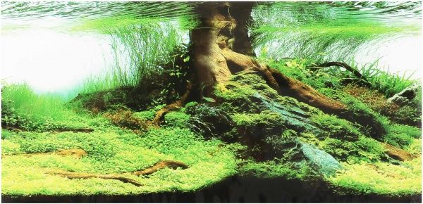 Фон TRIXIE для аквариума двухсторонний 60х30 см 8125