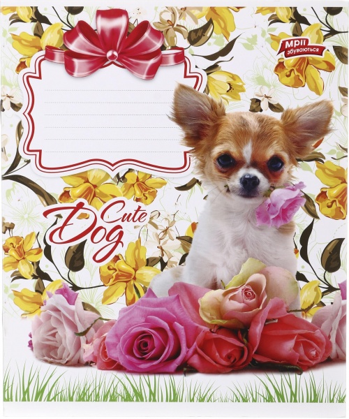 Зошит шкільний 12 аркушів у лінійку дизайн в асортименті Мрії збуваються