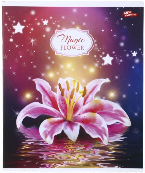 Зошит шкільний 60 аркушів у клітинку в асортименті Мрії збуваються