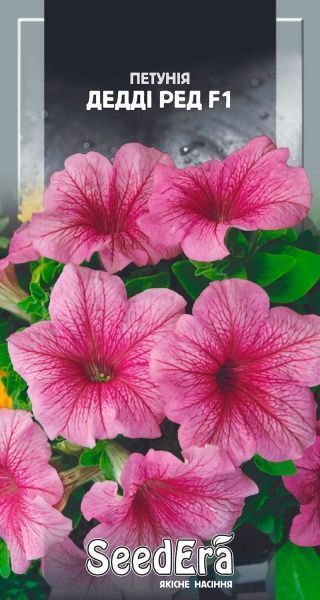 Семена Seedera петуния Дедди ред F1 10 шт.