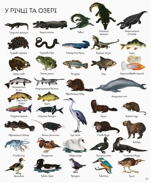 Книга Джессика Гринвел «1000 названий животных» 9786177579174