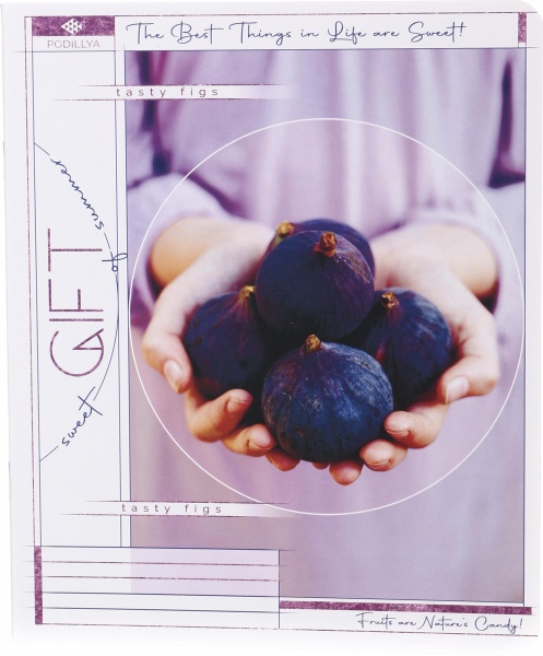 Зошит шкільний уф-лак 48 аркушів у лінійку в асортименті Мрії збуваються