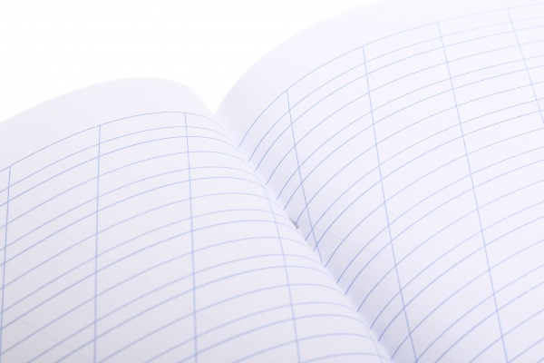 Зошит шкільний 12 аркушів у косу лінію в асортименті Мрії збуваються