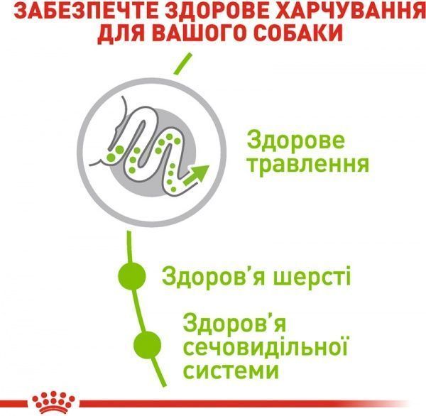 Корм Royal Canin для собак X-SMALL ADULT 3 кг