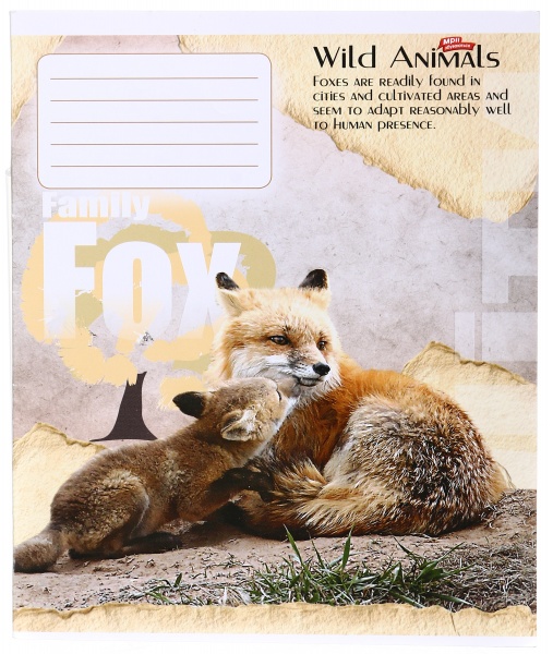 Зошит шкільний уф-лак 12 аркушів у лінійку в асортименті Мрії збуваються