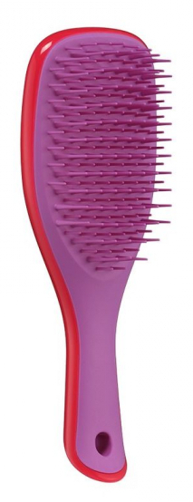 Щітка для волосся Tangle Teezer The Wet Detangler Mini Morello Cherry & Viol