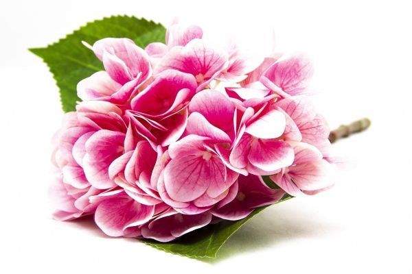 Квітка штучна Гортензія 42 см рожева 630591