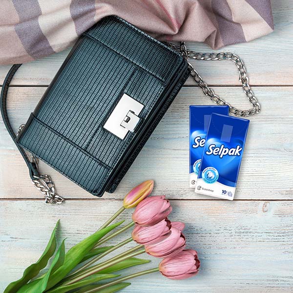 Платки носовые Selpak стандарт 10 шт