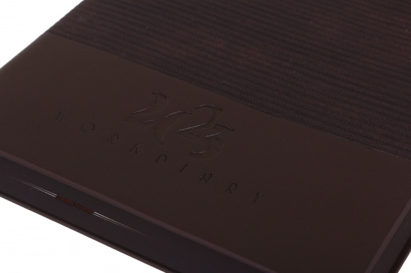 Дневник датированный Velvet Leo Planner Velvet A5 2023