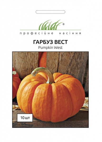 Насіння Професійне насіння гарбуз Вест 10 шт. (4820176696960)