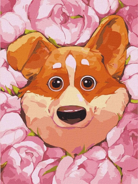 Картина за номерами Квітучий коргі 30х40 см Ідейка 