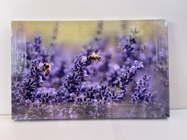 Репродукция Пчелы на лаванде 50x80 см Арт Фемелі 
