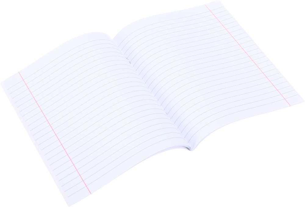 Тетрадь 48 листов в линию (2252547043011) Nota Bene