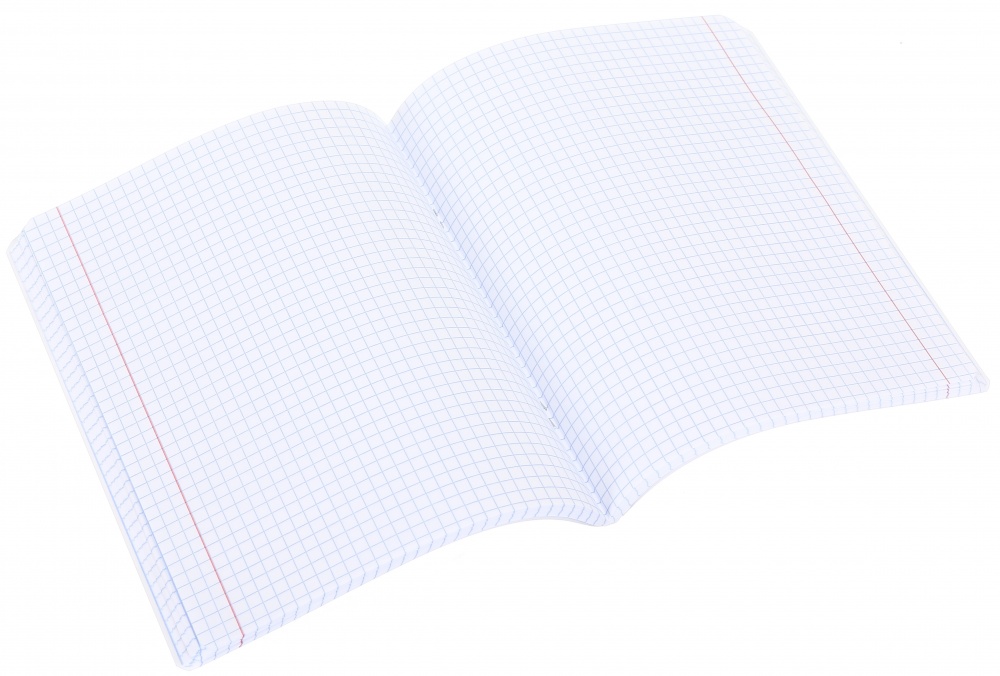 Тетрадь школьная Anime24 96 листов скоба клетка_2 Nota Bene