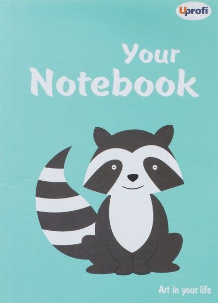 Книга для нотаток Artbook B6 mint Uprofi plan