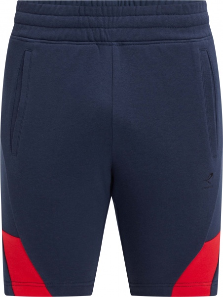 Шорти Energetics Seppo II M 418402-900516 р. 2XL синій