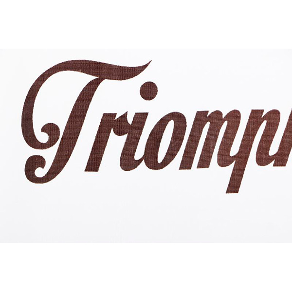 Шторка для ванны VanStore Arlov 120х200 63212