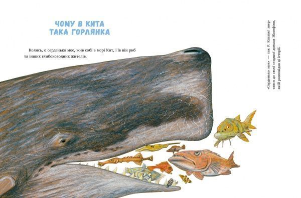 Книга «Метелик, який тупав ногою. Казки-оповідки» 978-617-7537-58-7