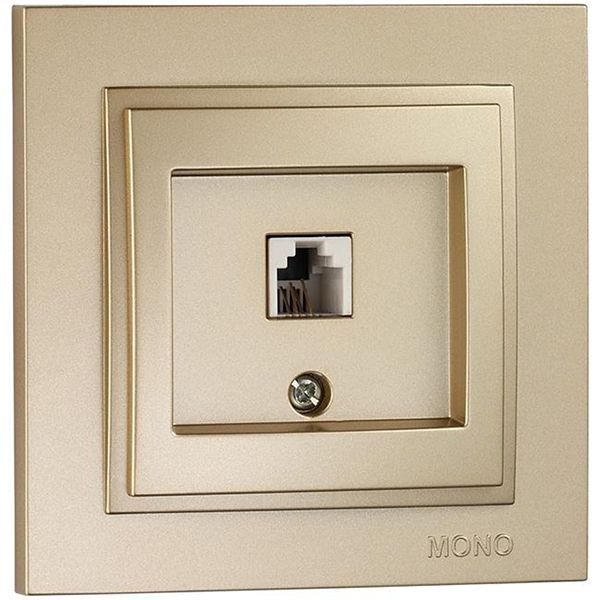 Розетка телефонна із заземленням Mono Despina без шторок без кришки титан 102-222205-124